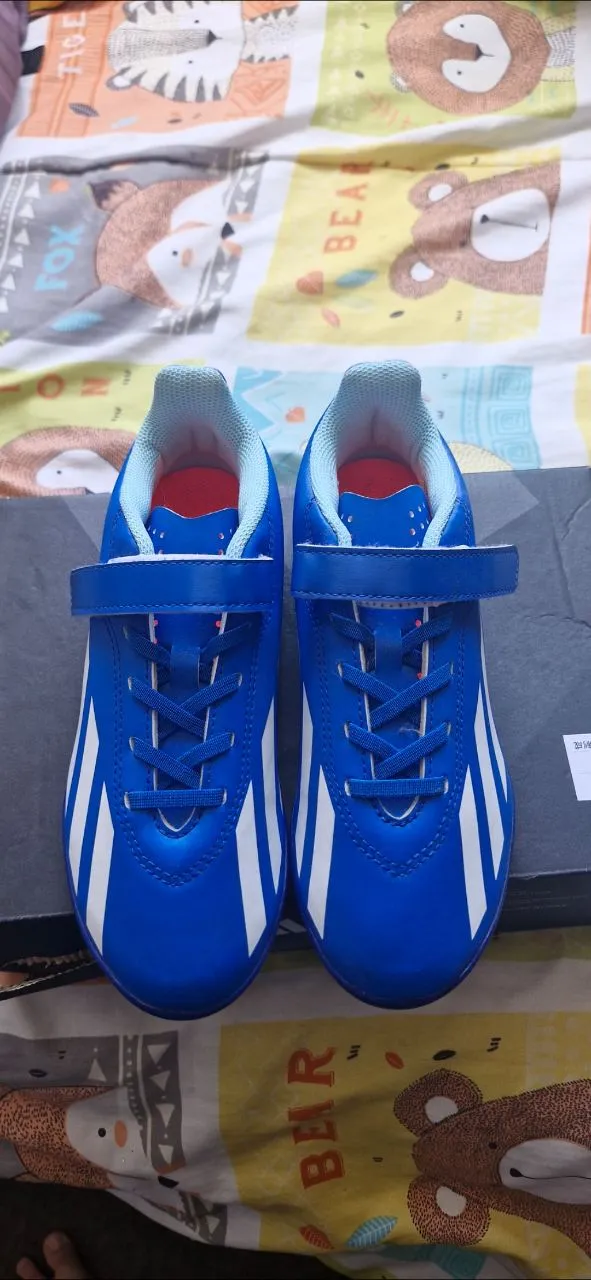 Zapatillas